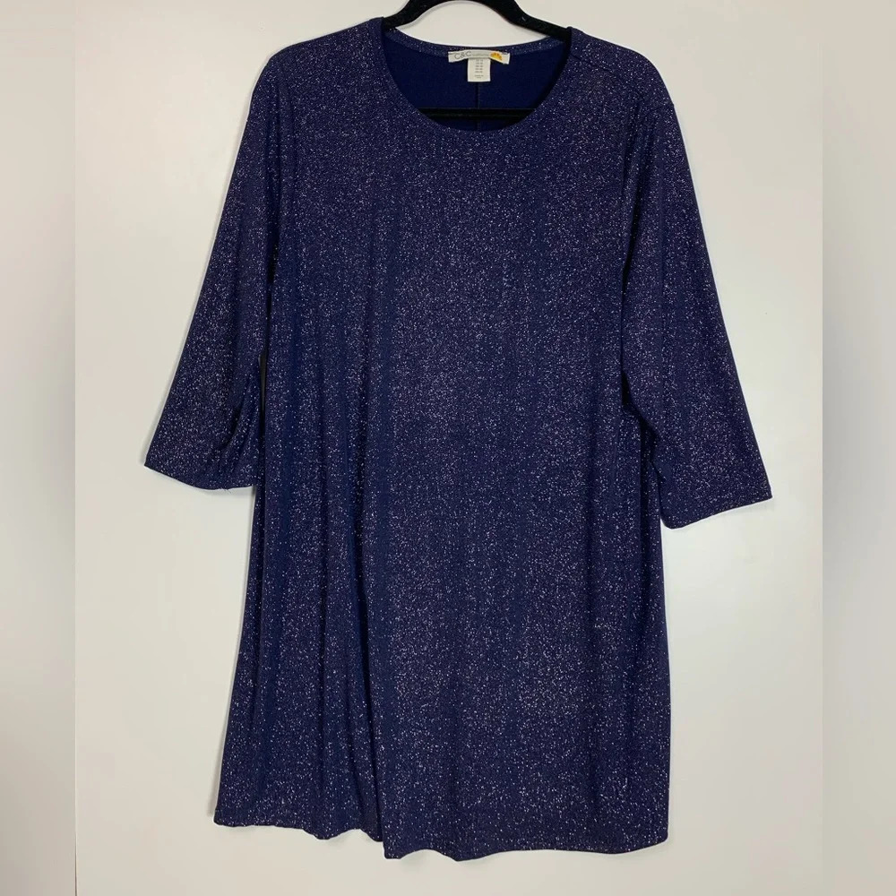C&C California Blue Sparkle Shimmer Long Tunic Top Women’s Size 1X  Swiftie USA